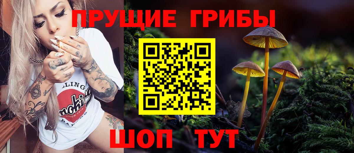Галлюциногенные грибы Psilocybe  Вход с VPN  Псилоцибиновые грибы MAGIC MUSHROOMS  Малоярославец 