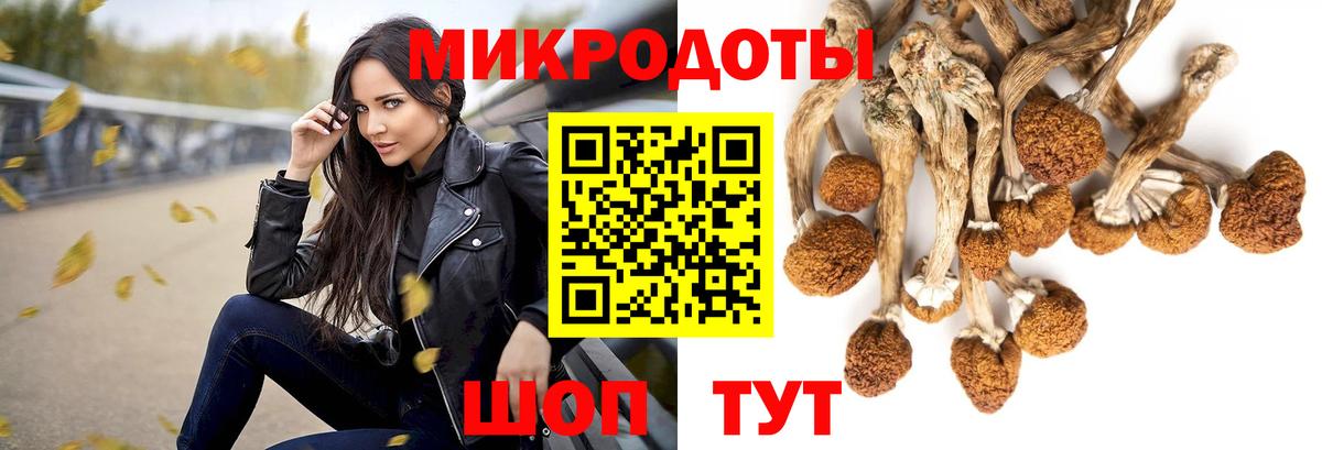 Псилоцибиновые грибы мицелий Малоярославец